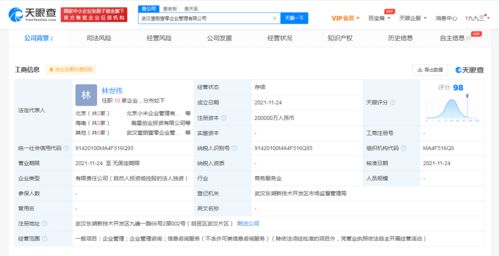 注冊(cè)資本20億元！小米在武漢成立企業(yè)管理公司，赤壁企業(yè)網(wǎng)站建設(shè)迎來(lái)新啟示